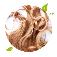 Soin des cheveux et ongles Soin des cheveux et ongles