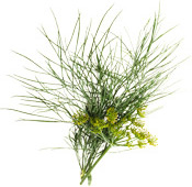 Huile essentielle Aneth odorant Aroma-Zone