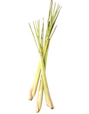 Huile essentielle Lemongrass BIO Aroma-Zone