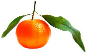 Huile essentielle Mandarine rouge de Sicile BIO Aroma-Zone