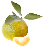 Huile essentielle Mandarine verte BIO Aroma-Zone