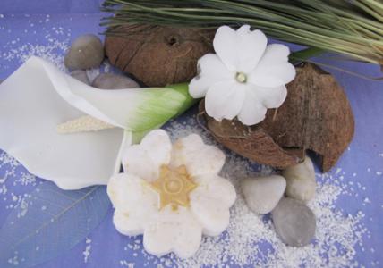 Recettes Shampooing Solide Fleurs Des îles Aroma Zone