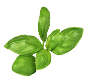 Hydrolat Basilic à linalol BIO Aroma-Zone