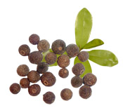 Hydrolat Bay Saint Thomas BIO Aroma-Zone